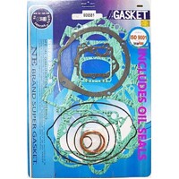 COMPLETE GASKET & OIL SEAL KIT FOR SUZUKI RM250 RM 250 1994 1995
